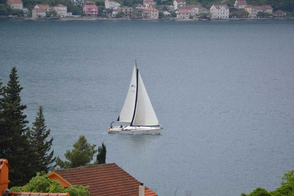 Apartments Dobrisa Kotor Bagian luar foto