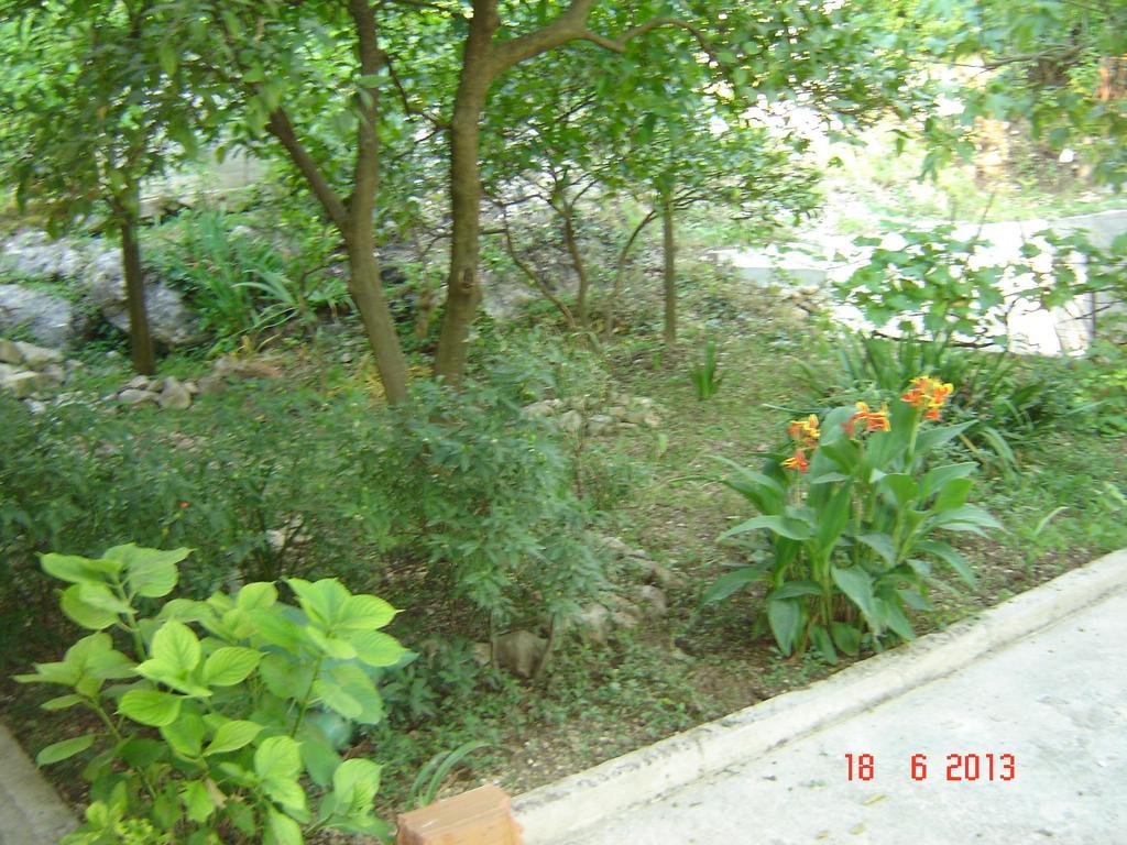 Apartments Dobrisa Kotor Bagian luar foto